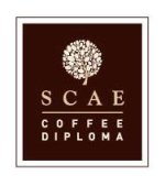 scae coffe diploma