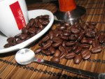 Mokasirs Mundo kávé teszt kávébabok