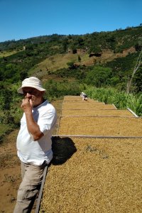 Tóth Sándor Costa Rica Bányai farm a tulajdonos is ellenőrzi a szüretet