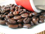 bendinelli armonioso kávé teszt kávébabok