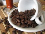 kapucziner bomba szemes kávé teszt kávébabok