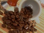 pascucci mild szemes kávé teszt kávébabok