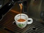 Pacificaffé Yirgacheffe kávé teszt csapolás