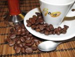 Go Caffe Plantation AA India Single Origin kávéteszt kávébabok
