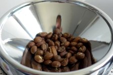 Awaken Banko Gotiti - Ethiopia kávéteszt kávébabok