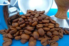 KTRL Brazil Siti Osorio szemes kávéteszt kávébabok