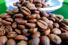 Pacificaffe Peru Cepro Yanesha szemeskávé teszt kávébabok