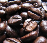 kávébabból biodízelt?