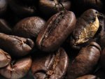 kapucziner kávémanufaktúra specialitás kávébabok közeli